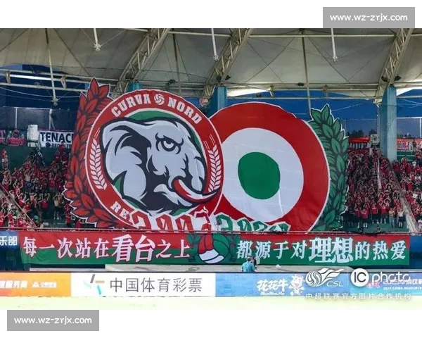 激情点燃！非洲杯赛场内外，球迷的热情已成最美风景