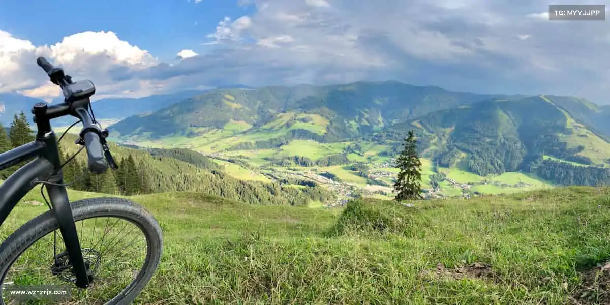 行业领先的理由